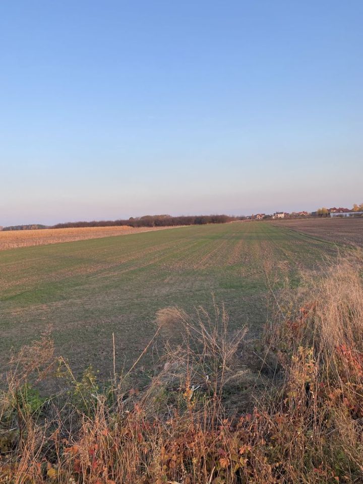 Działka inwestycyjna Szymanów. Zdjęcie 2