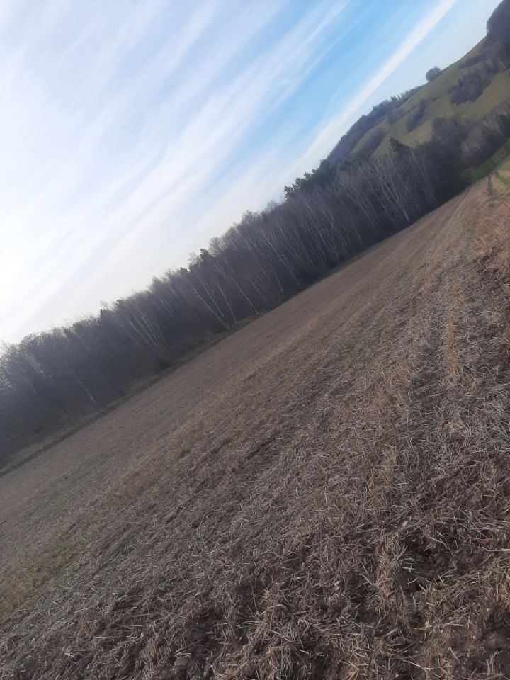 Działka rolna Klecza. Zdjęcie 3