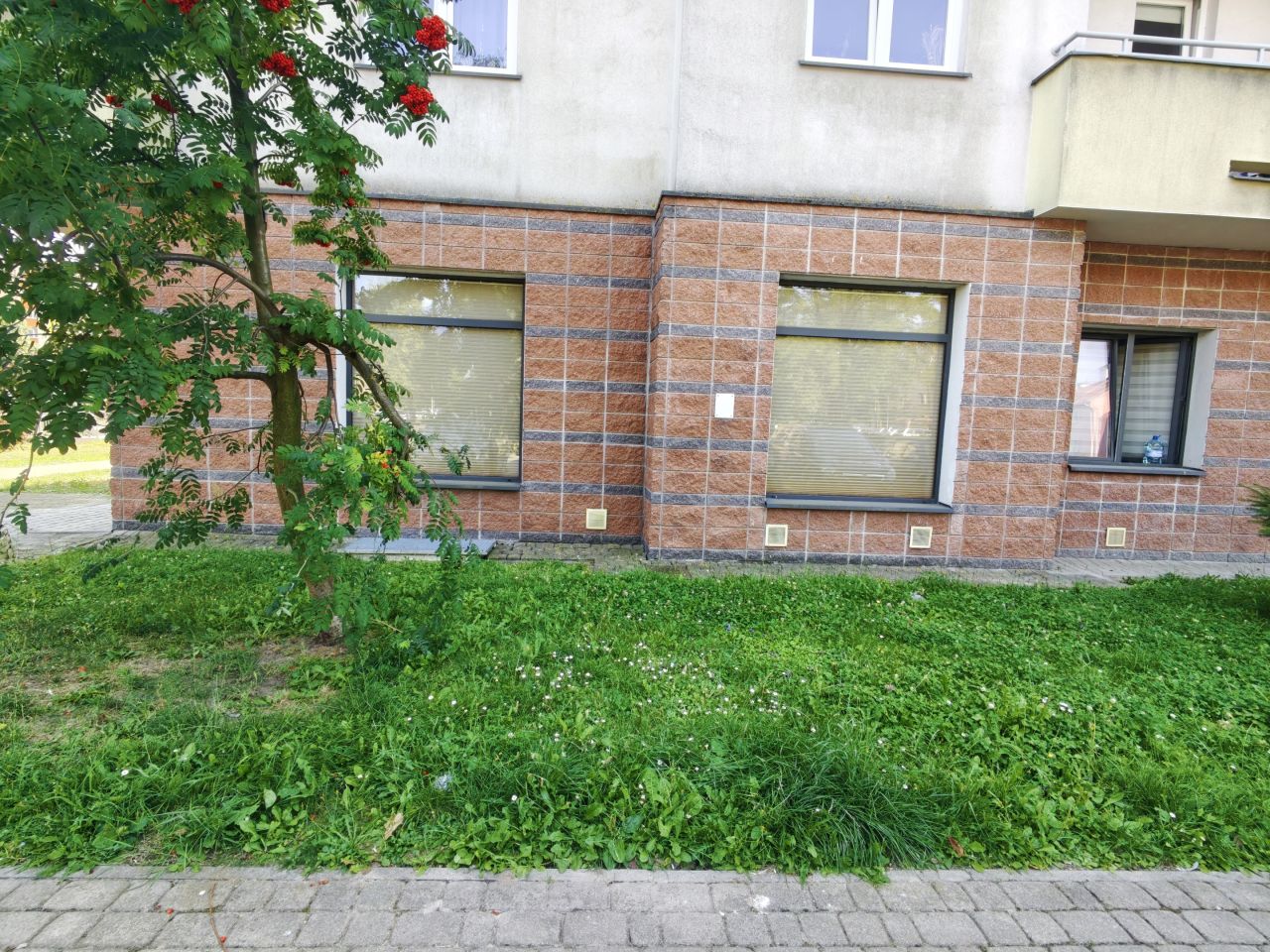 Lokal Tarnobrzeg, ul. Mikołaja Kopernika. Zdjęcie 3
