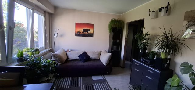 Mieszkanie 2-pokojowe Toruń Mokre, ul. Polskiego Czerwonego Krzyża. Zdjęcie 1