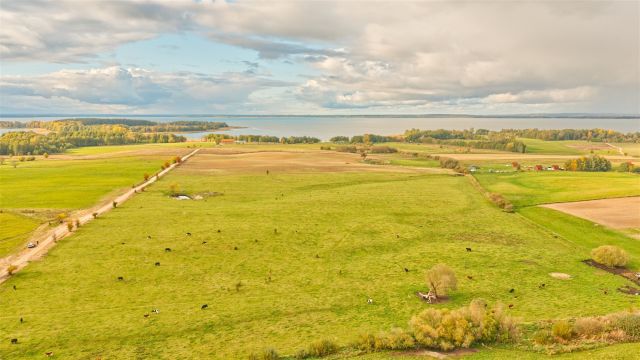 Działka rolna Zdory. Zdjęcie 10
