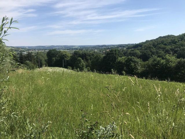 Działka rolno-budowlana Lubaszowa Wieś. Zdjęcie 1