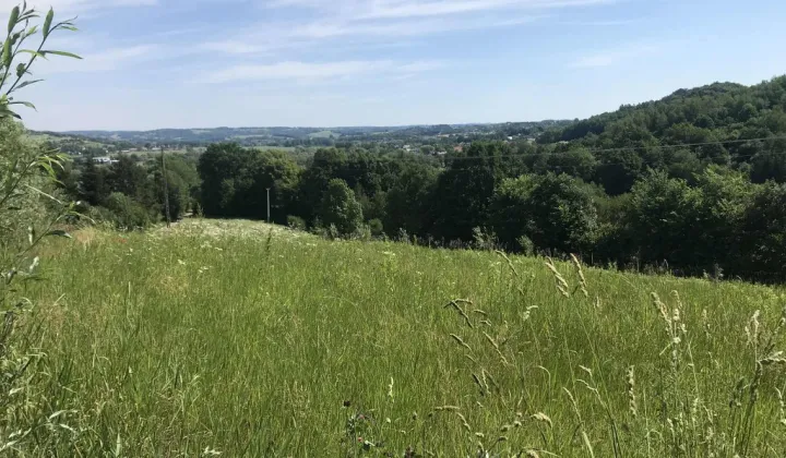 Działka rolno-budowlana Lubaszowa Wieś
