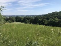 Działka rolno-budowlana Lubaszowa Wieś