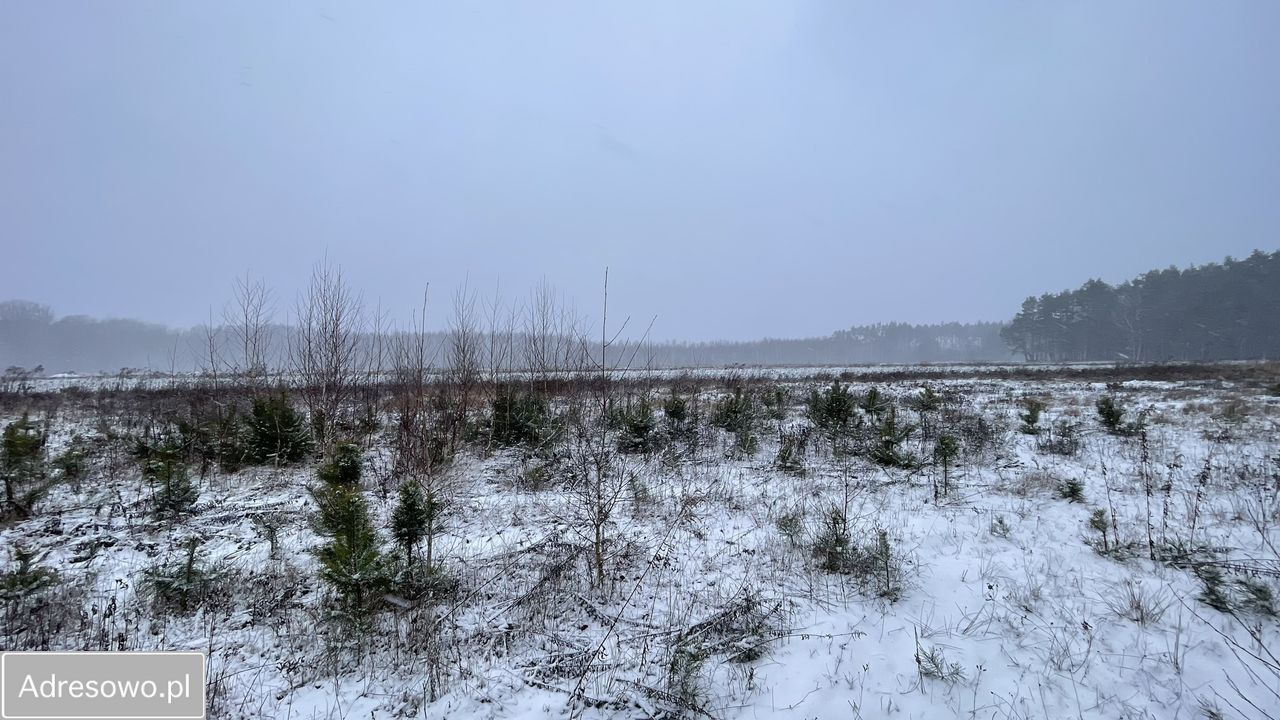 Działka budowlana Siestrzeń. Zdjęcie 14