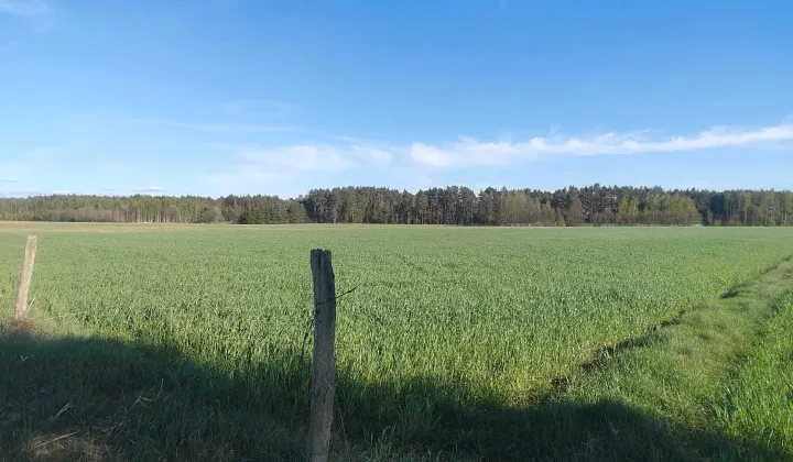 Działka budowlana Napiórki Butne