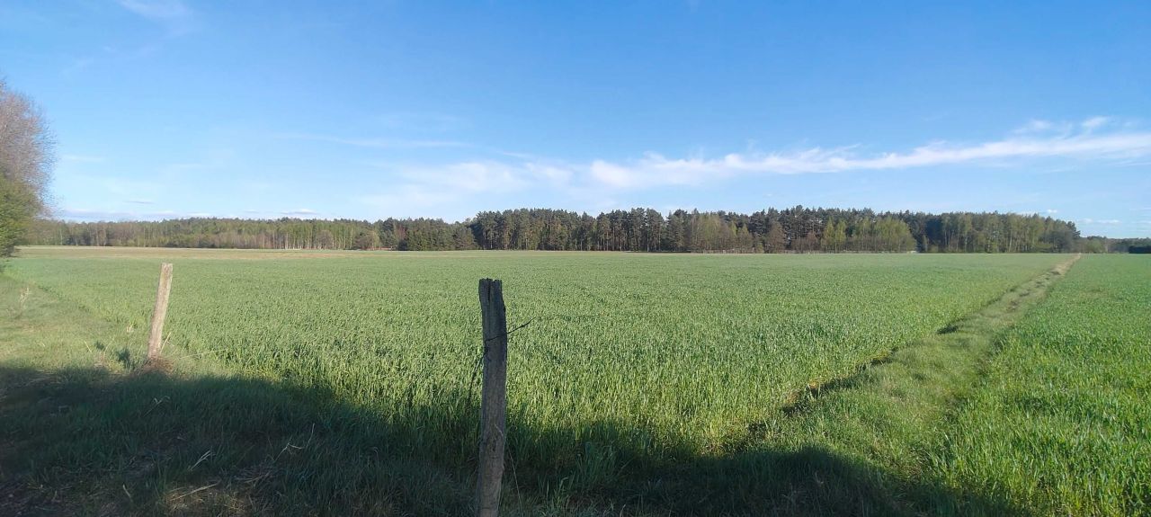 Działka budowlana Napiórki Butne. Zdjęcie 1