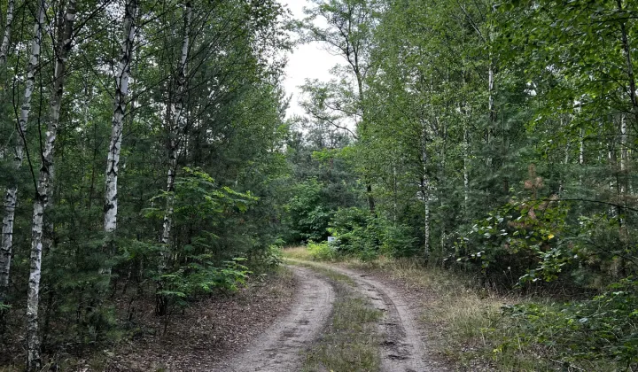 Działka budowlana Anastazew