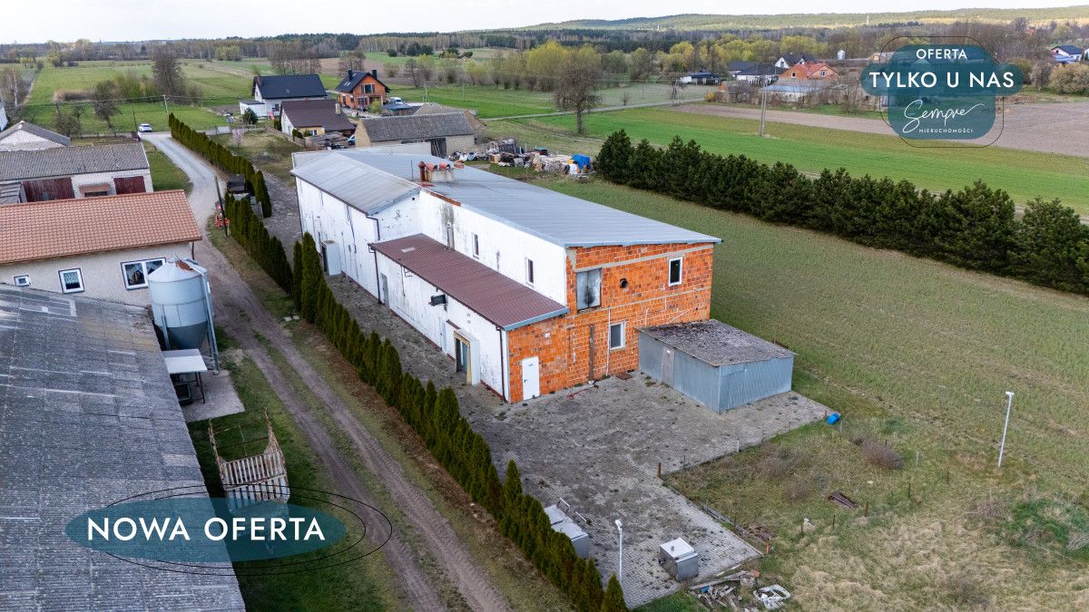 Lokal Polichno. Zdjęcie 18