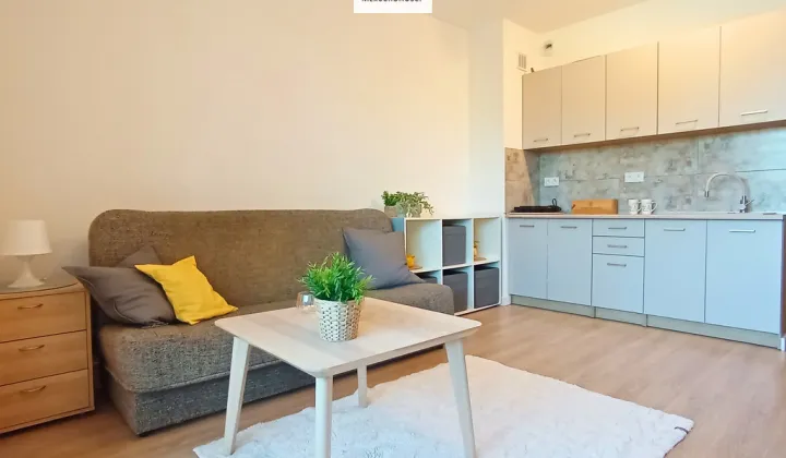 Mieszkanie 1-pokojowe Mińsk Mazowiecki, ul. Ignacego Daszyńskiego