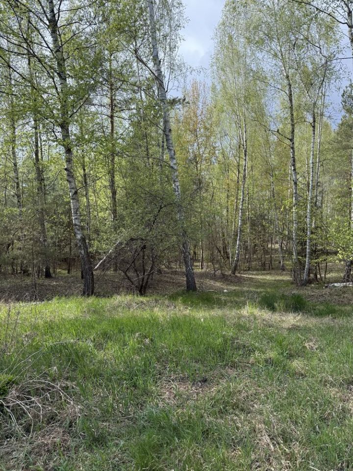 Działka rolno-budowlana Pokinianka. Zdjęcie 7