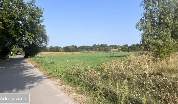 Działka rolno-budowlana Dorohusk-Osada, ul. Wierzbowa