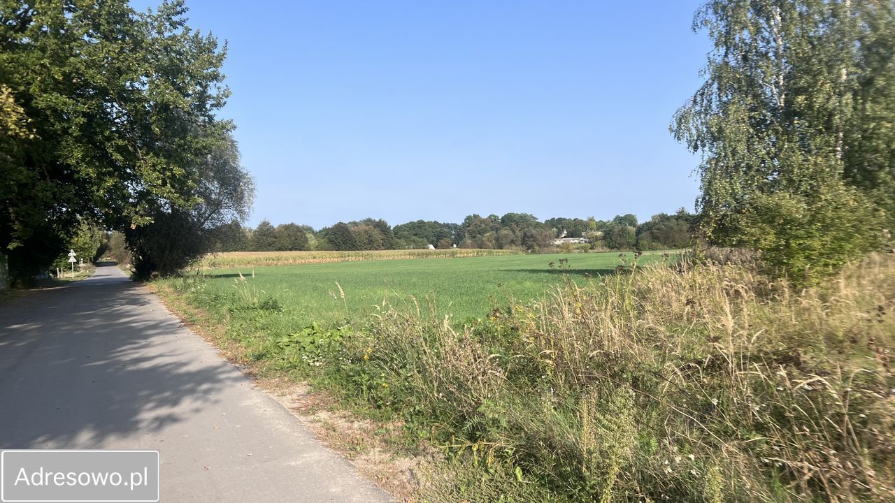 Działka rolno-budowlana Dorohusk-Osada, ul. Wierzbowa. Zdjęcie 1