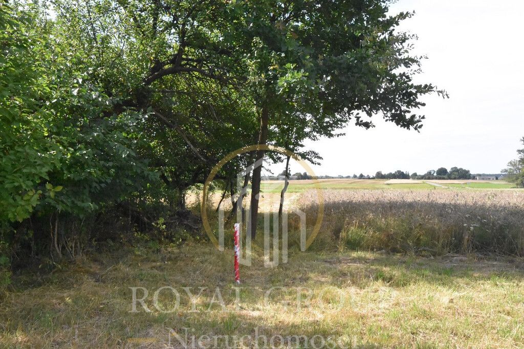 Działka siedliskowa Siedliska. Zdjęcie 3