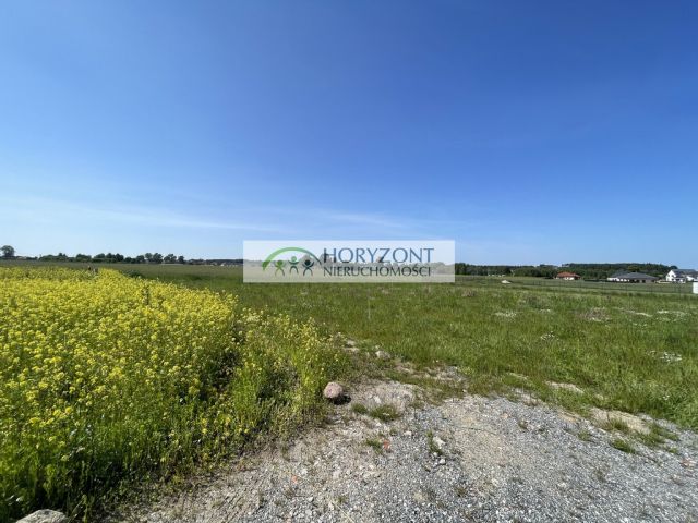 Działka Dobrzewino. Zdjęcie 2