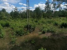 Działka budowlana Klwatka Królewska Figielów. Zdjęcie 1