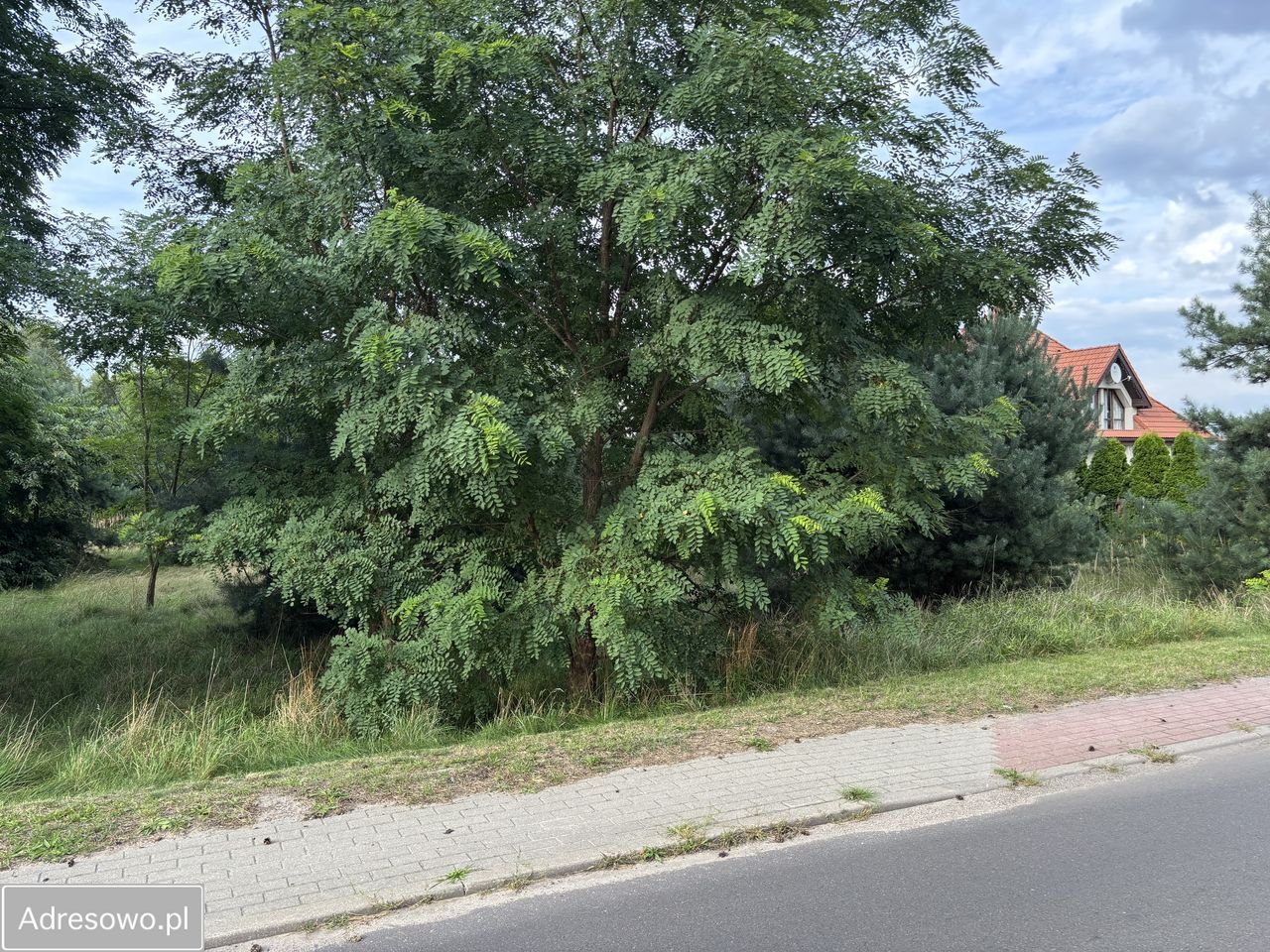 Działka budowlana Paprotnia. Zdjęcie 4