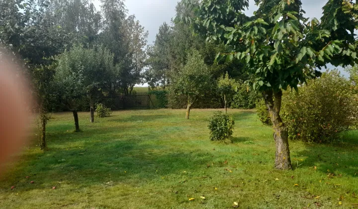 Działka rolna Grajewo, ul. Architektów