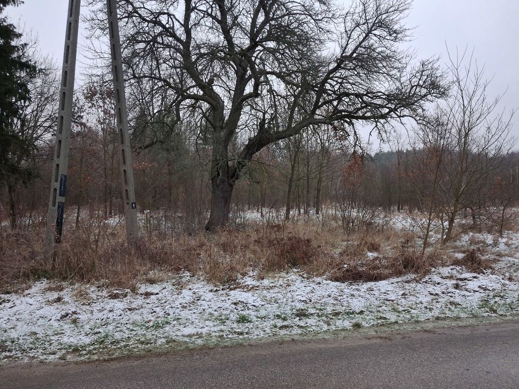 Działka rolna Stanisławów. Zdjęcie 11