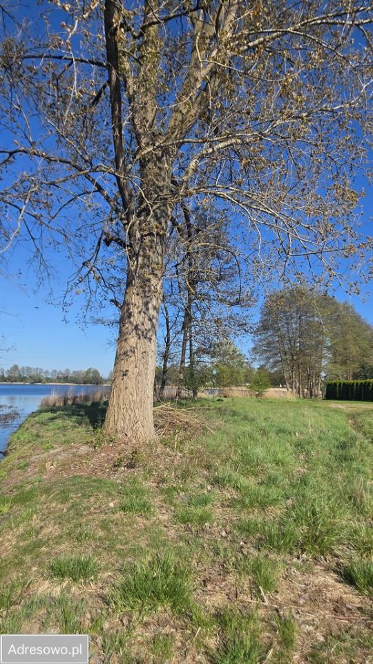 Działka budowlana Wolsztyn. Zdjęcie 4