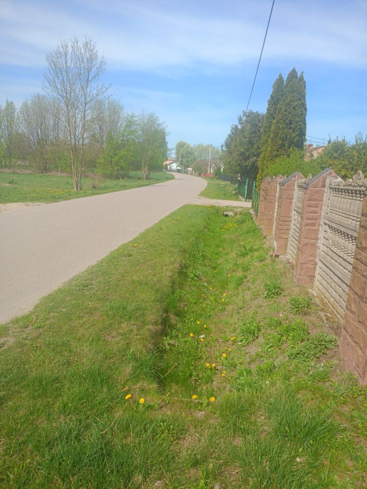 Działka siedliskowa Nieborzyn. Zdjęcie 10