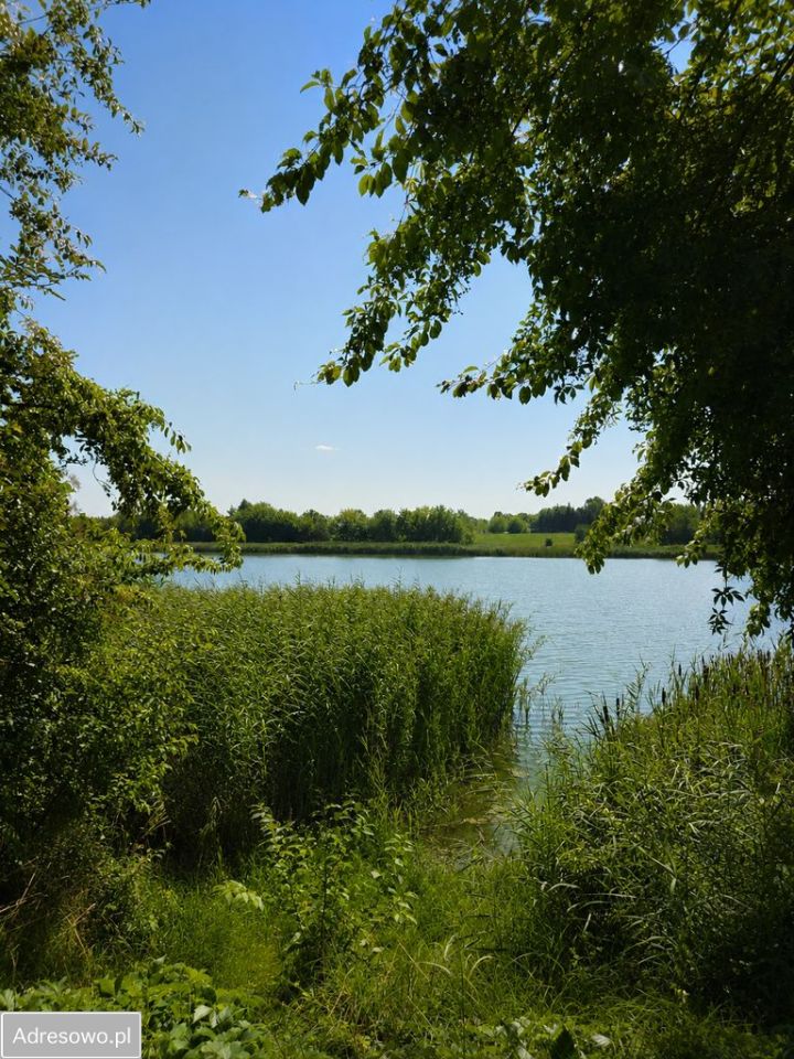 dom wolnostojący, 7 pokoi Psarskie. Zdjęcie 18