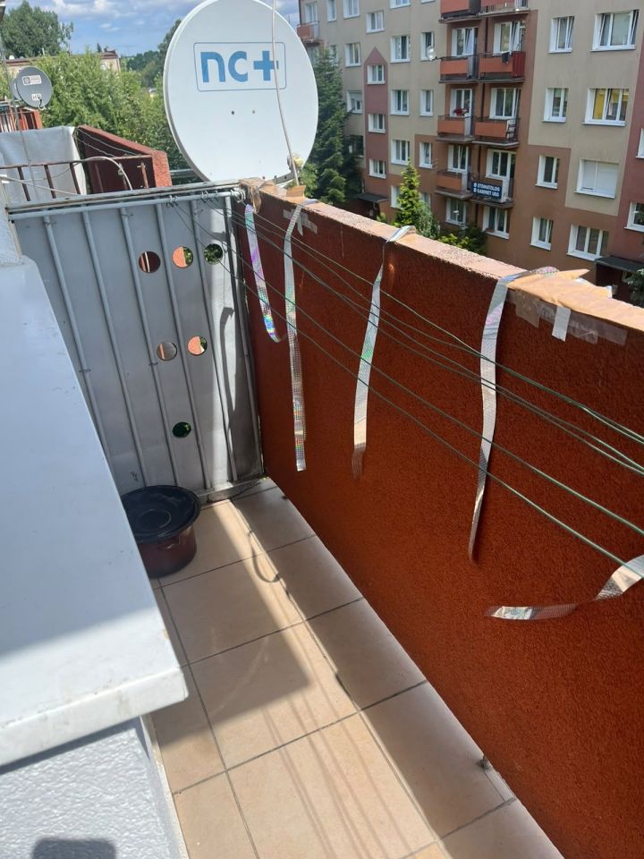 Mieszkanie 2-pokojowe Szprotawa, ul. Kościuszki. Zdjęcie 5