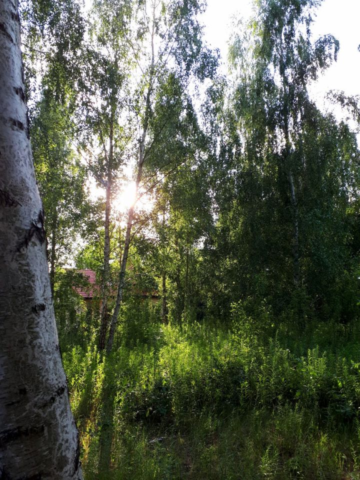 Działka budowlana Strzeniówka, ul. Jodłowa. Zdjęcie 5