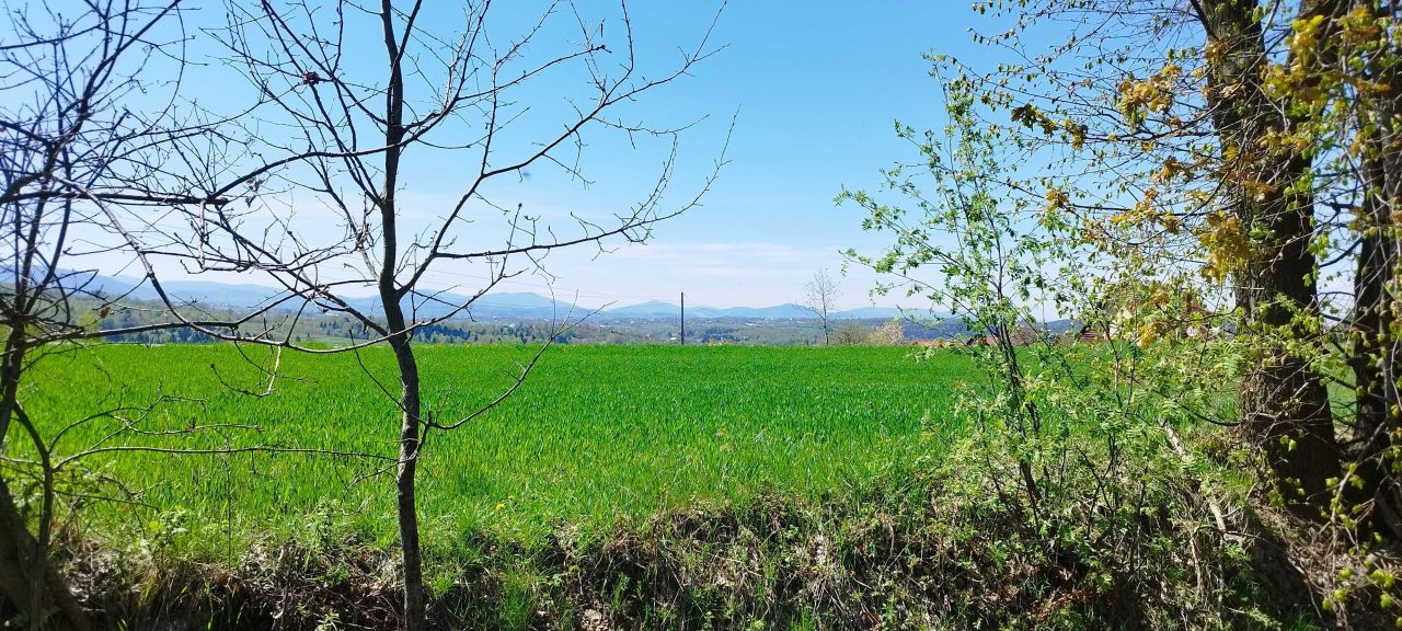 Działka budowlana Królówka. Zdjęcie 5