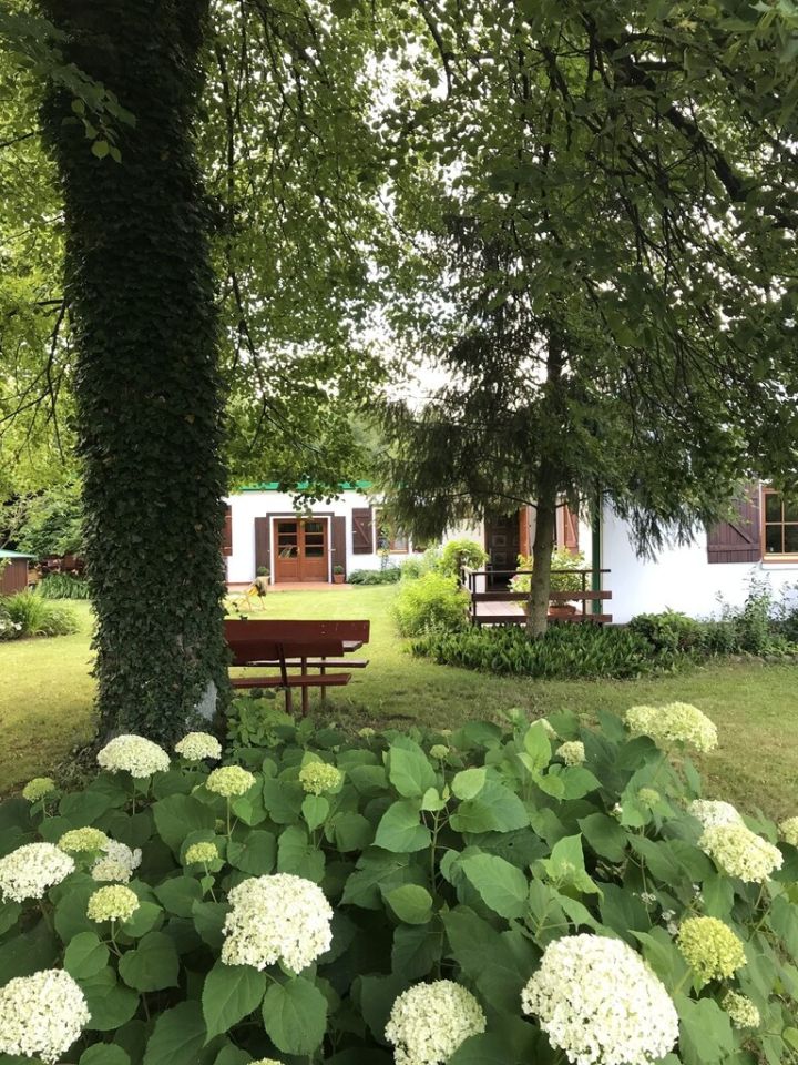 dom wolnostojący, 4 pokoje Nosy-Poniatki, ul. Szkolna. Zdjęcie 25