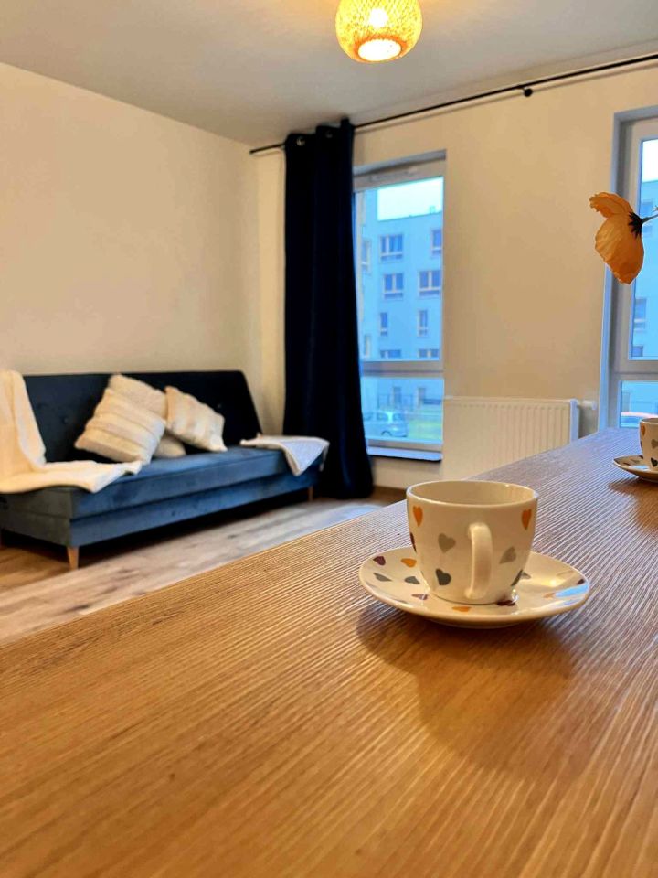 Mieszkanie 1-pokojowe Łódź Polesie, ul. prof. Bohdana Stefanowskiego. Zdjęcie 6