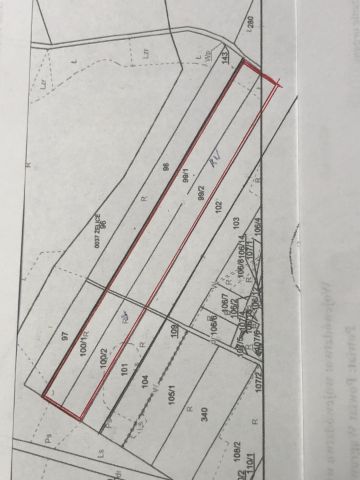 Działka rolna Żelice. Zdjęcie 1