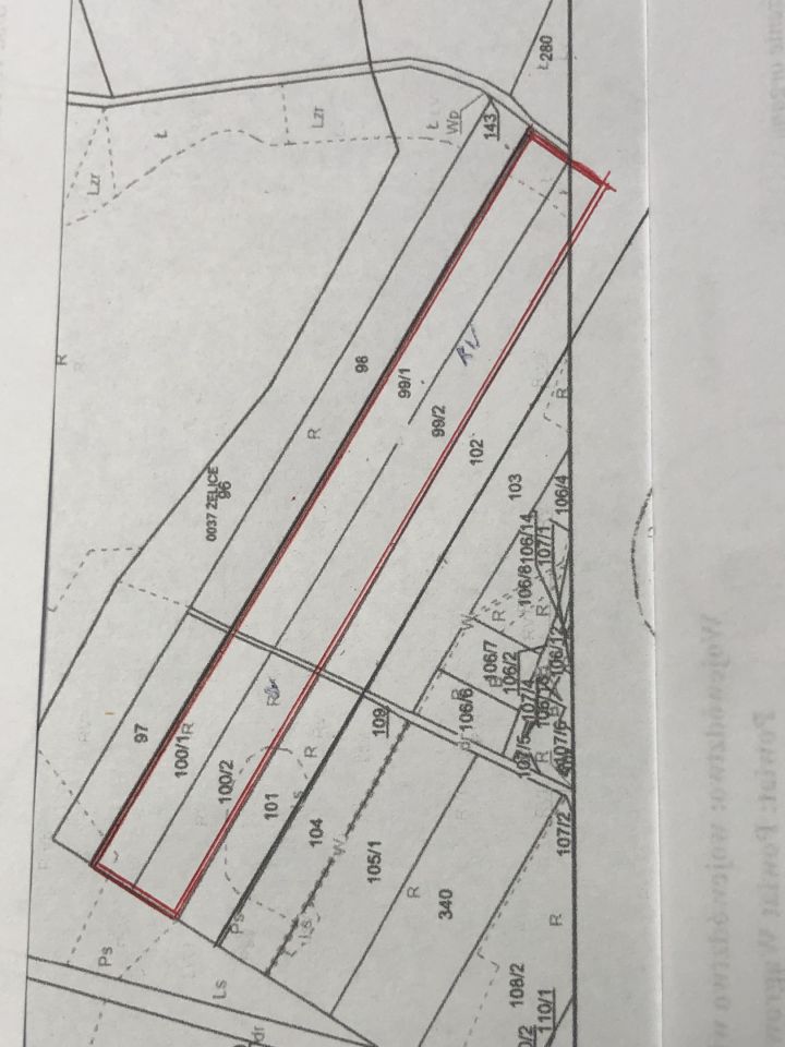 Działka rolna Żelice. Zdjęcie 1