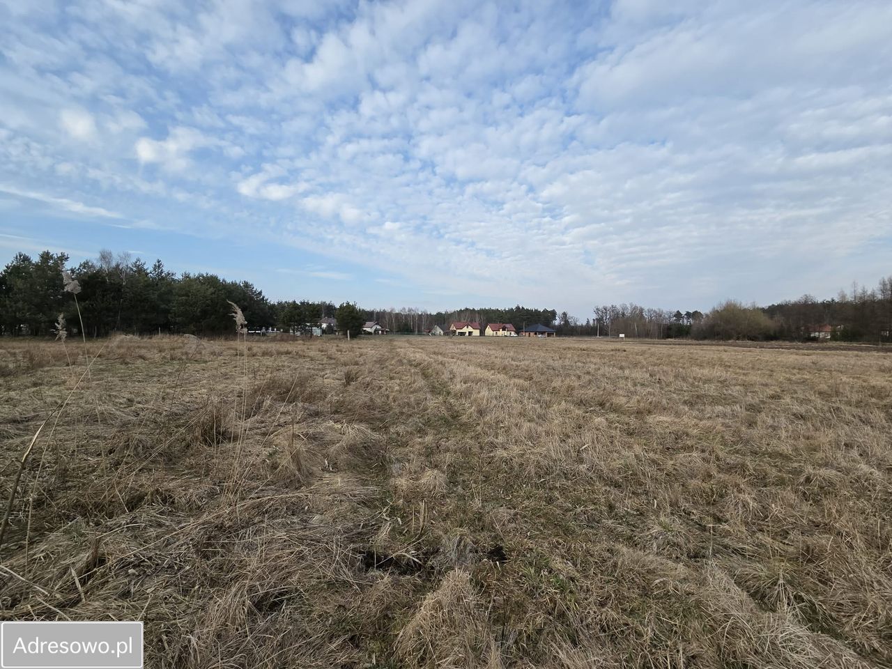 Działka rekreacyjna Komorów. Zdjęcie 5