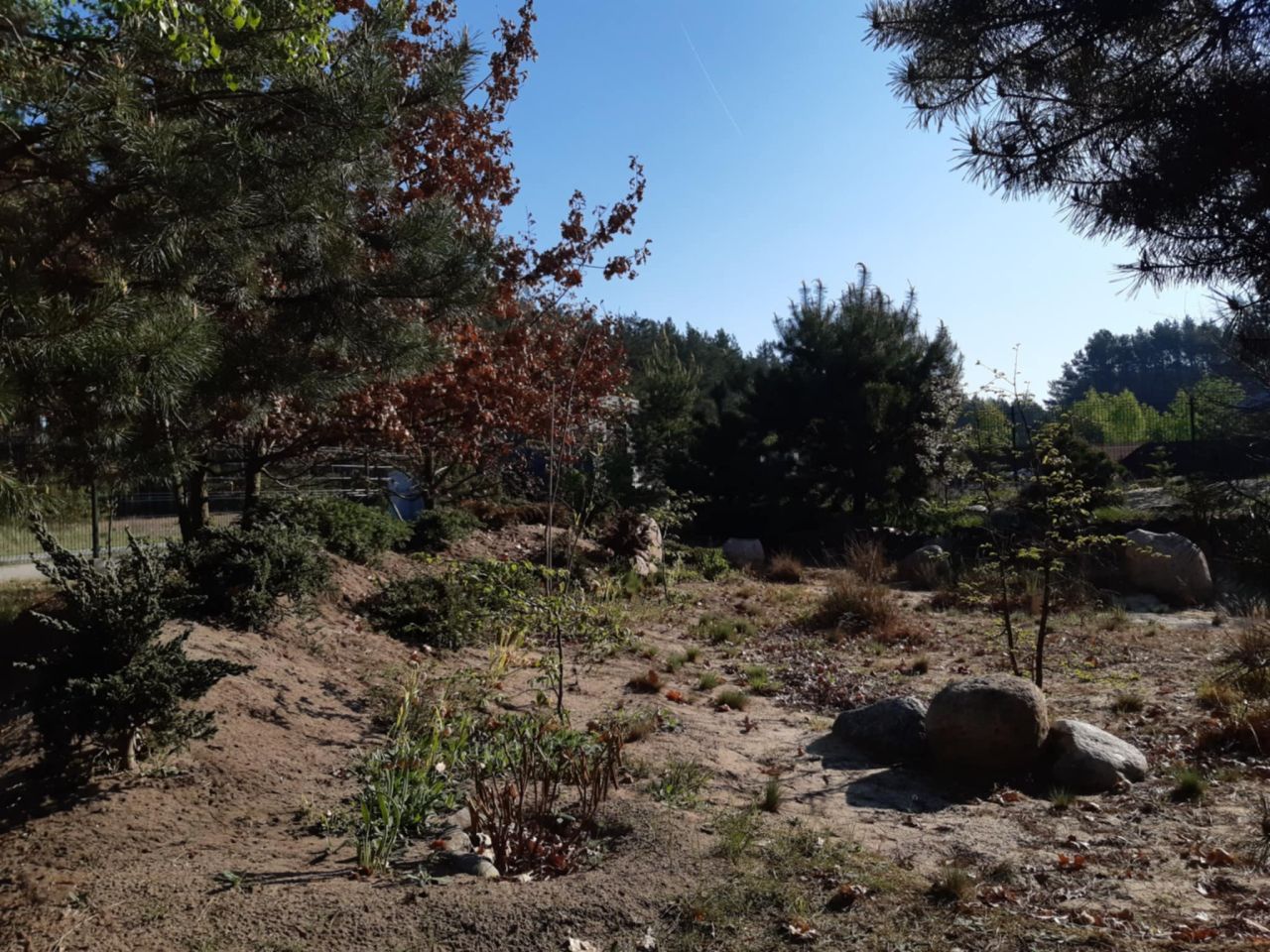 Działka budowlana Podbiel Krupińskie, Sosnowa. Zdjęcie 29