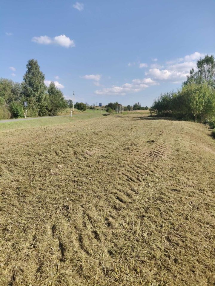 Działka budowlana Osławica. Zdjęcie 2