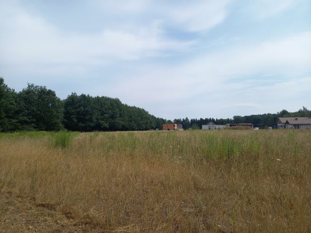 Działka budowlana Korzeniówka. Zdjęcie 4