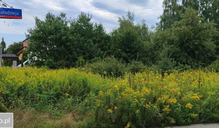 Działka inwestycyjna Warszawa Białołęka, ul. Małopolska