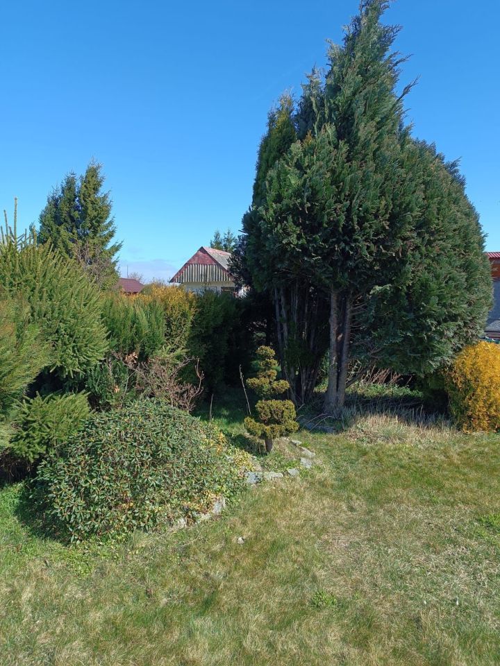 Działka rod Trzebiatów. Zdjęcie 7