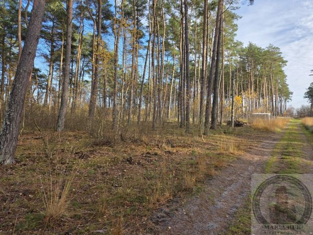 Działka budowlana Dziwnów. Zdjęcie 7
