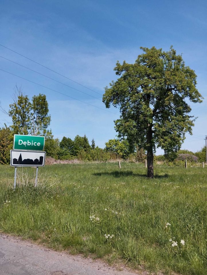 Działka budowlana Dębice. Zdjęcie 3