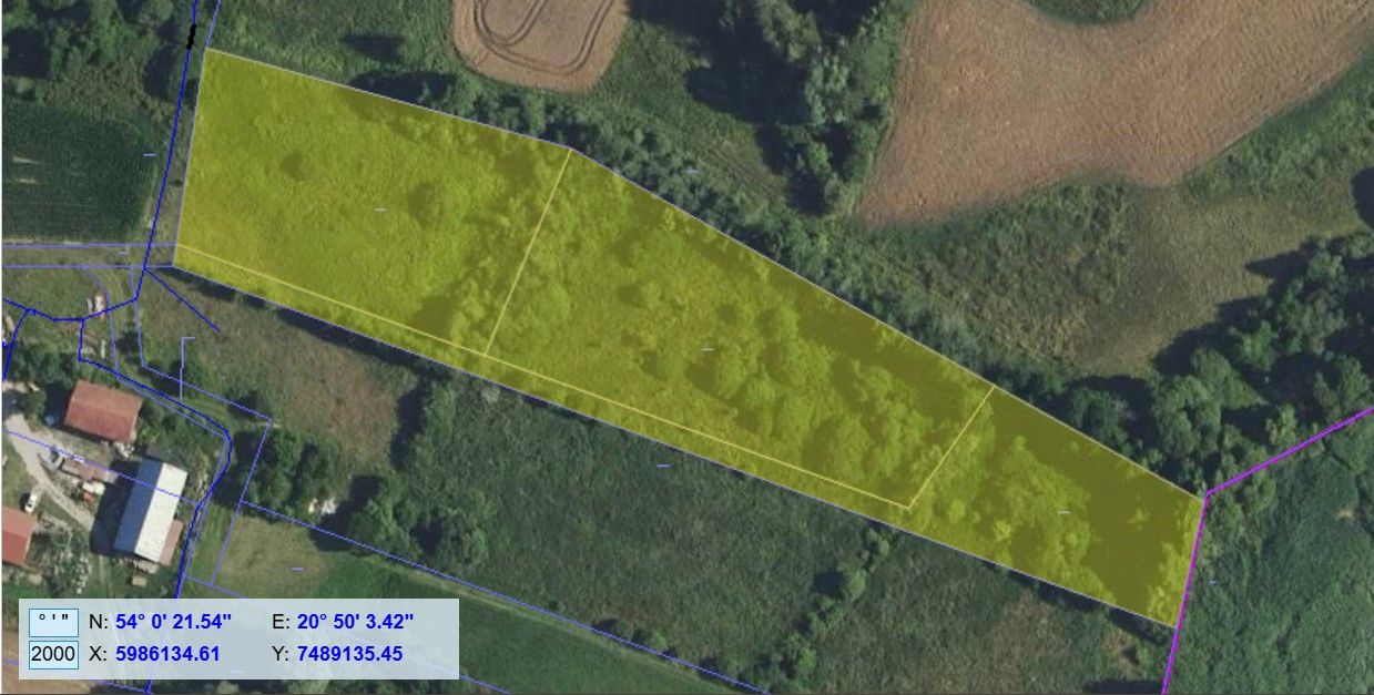 Działka rolna Pierwągi. Zdjęcie 6