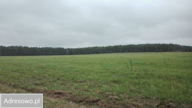 Działka rekreacyjna Filice. Zdjęcie 1