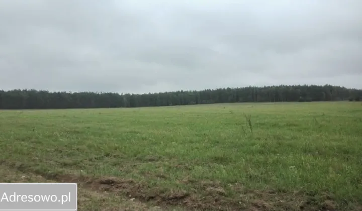 Działka rekreacyjna Filice
