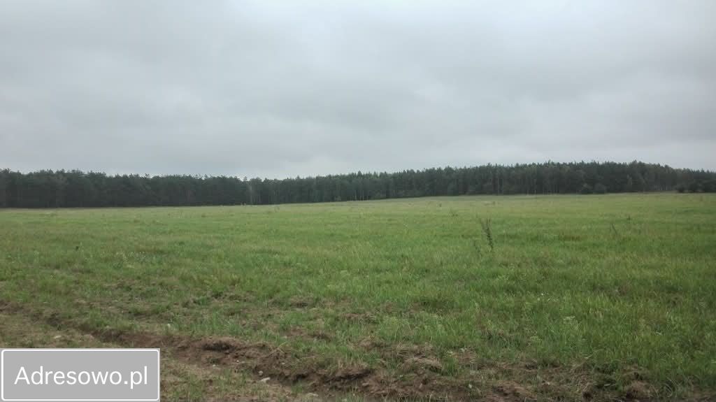 Działka rekreacyjna Filice. Zdjęcie 1