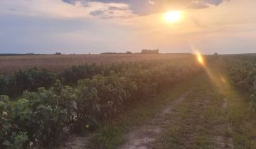 Działka rolno-budowlana Fajsławice