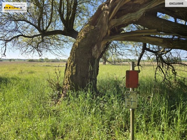 Działka rolna Szczecin. Zdjęcie 8