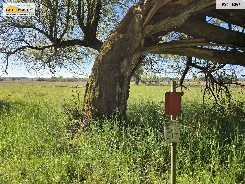 Działka rolna Szczecin. Zdjęcie 8
