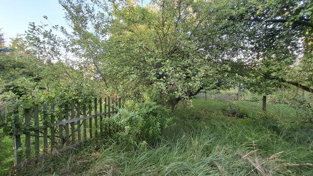 Działka rod Szczecin Bezrzecze, ul. Waleriana Łukasińskiego. Zdjęcie 1