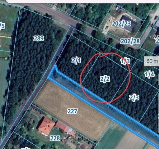 Działka budowlana Borowa, ul. Skrajna. Zdjęcie 1